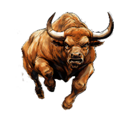 BULL Token